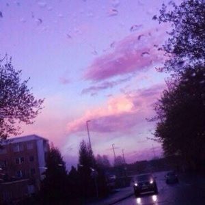 Meet your Posher, Regan